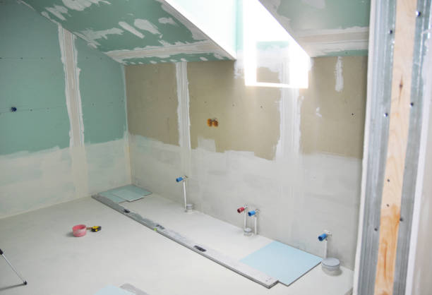 Best Crawl Space Mold Remediation  in Carrollton, KY