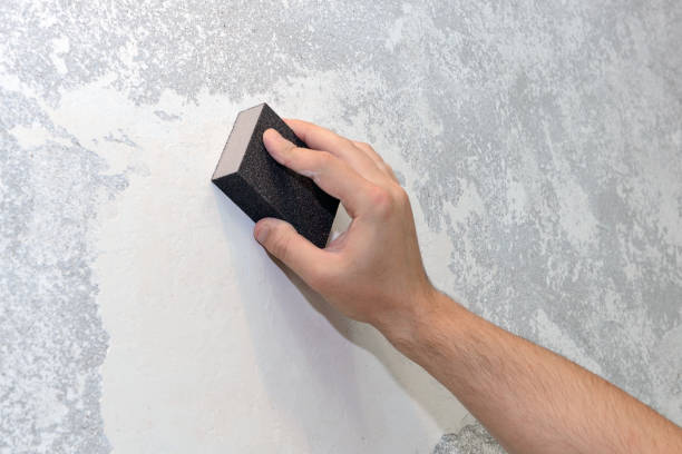 Best Real Estate Mold Inspection  in Carrollton, KY