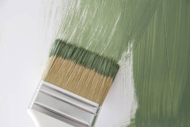 Best Black Mold Removal  in Carrollton, KY