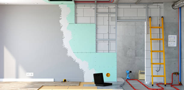 Best Residential Mold Inspection & Testing  in Carrollton, KY
